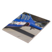 Frans Fouga Magister-trainer Tegeltje (Zijkant)