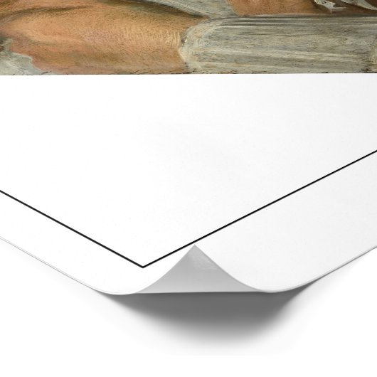 Frans Hals Zedign Art Poster #243 (Hoek)