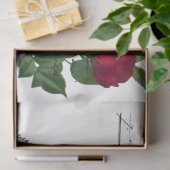 Frans handschrift en ontwerp Rode Rozen Serie 15 Tissuepapier (Geschenk)