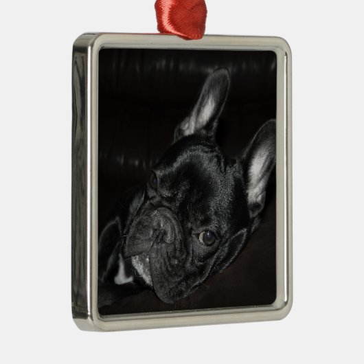 Frans hondenornament metaal op maat metalen ornament (Rechts)
