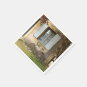 Frans huis papieren servetten (Hoek)