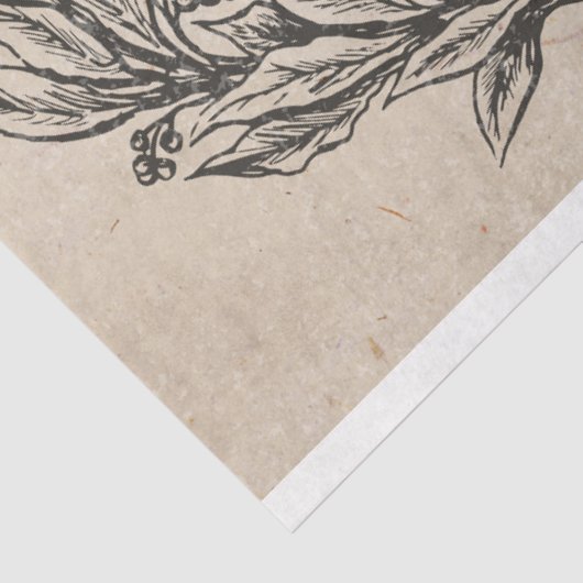  Frans konijn met kroonontkoppeling Tissuepapier (Detail)