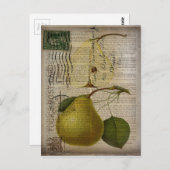 Frans land botanische illustratie  peer briefkaart (Voorkant / Achterkant)