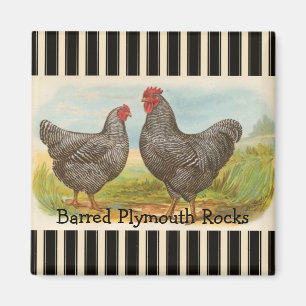 Frans land Rooster Hen Poultry Fridge Magnet