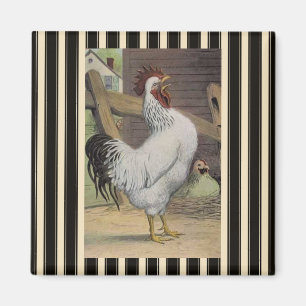 Frans Land White Rooster Hen Fridge Magnet