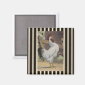 Frans land witte haan hen koelkast magneet (Voorkant / Achterkant)