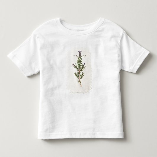 Frans Lavender, bord 241 uit 'A Curious Herbal' Kinder Shirts (Voorkant)
