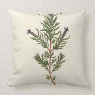 Frans Lavender, bord 241 uit 'A Curious Herbal' Kussen