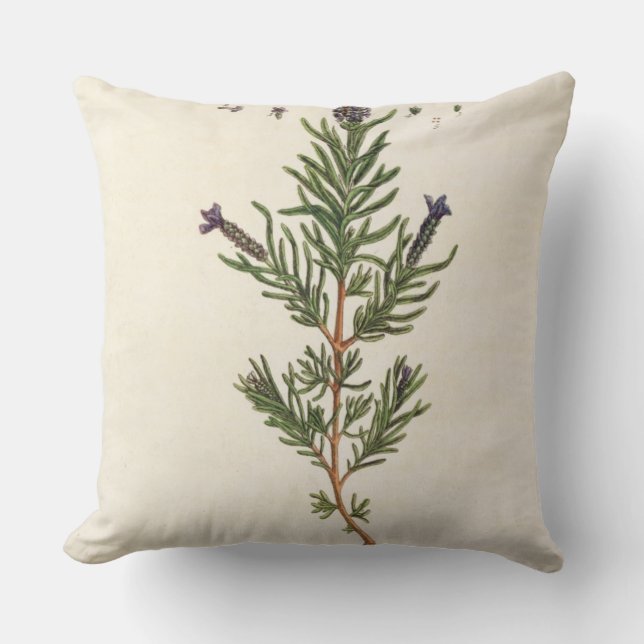 Frans Lavender, bord 241 uit 'A Curious Herbal' Kussen (Voorkant)