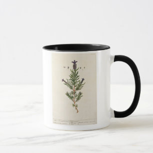 Frans Lavender, bord 241 uit 'A Curious Herbal' Mok