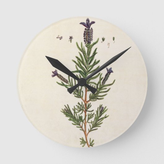 Frans Lavender, bord 241 uit 'A Curious Herbal' Ronde Klok (Voorkant)