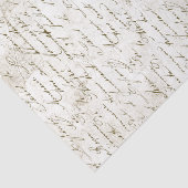 Frans Manuscript handgeschreven Grunge Cursief T Tissuepapier (Detail)