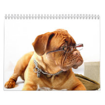 Frans Mastiff Dogue de Bordeaux Calendar