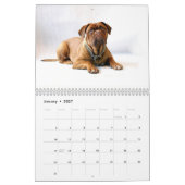 Frans Mastiff Dogue de Bordeaux Calendar Kalender (Jan 2027)