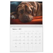 Frans Mastiff Dogue de Bordeaux Calendar Kalender (Feb 2027)
