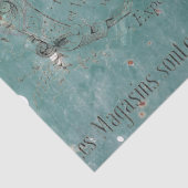 Frans  ontkoppelteken tissuepapier (Detail)