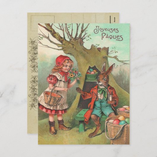  Frans Paashaas Briefkaart (Voorkant / Achterkant)