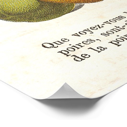  Frans perenland Keukendecor Poster (Hoek)