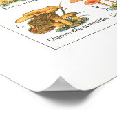 Frans Poisonous Eetble Mushrooms Variant Afdrukken Poster (Hoek)