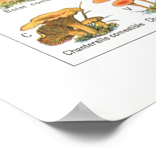 Frans Poisonous Eetble Mushrooms Variant Afdrukken Poster (Hoek)