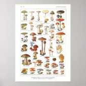 Frans Poisonous Eetble Mushrooms Variant Afdrukken Poster (Voorkant)