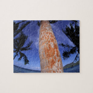 Frans-Polynesië, Bora Bora, Palmbomen Legpuzzel