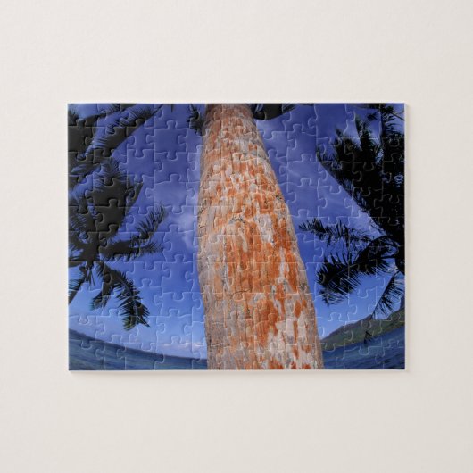 Frans-Polynesië, Bora Bora, Palmbomen Legpuzzel (Horizontaal)
