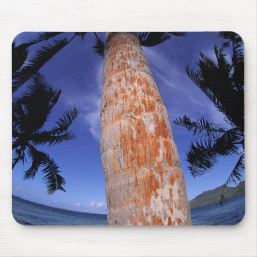 Frans-Polynesië, Bora Bora, Palmbomen Muismat (Voorkant)