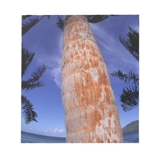Frans-Polynesië, Bora Bora, Palmbomen Notitieblok (Voorkant)