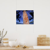 Frans-Polynesië, Bora Bora, Palmbomen Poster (Keuken)