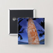 Frans-Polynesië, Bora Bora, Palmbomen Vierkante Button 5,1 Cm (Voorkant /achterkant)