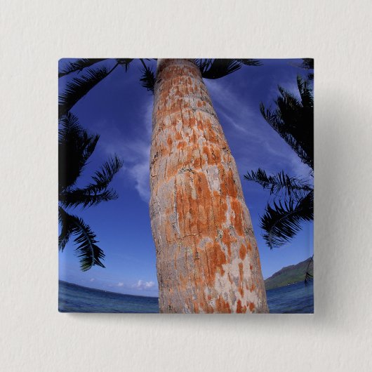 Frans-Polynesië, Bora Bora, Palmbomen Vierkante Button 5,1 Cm (Voorkant)