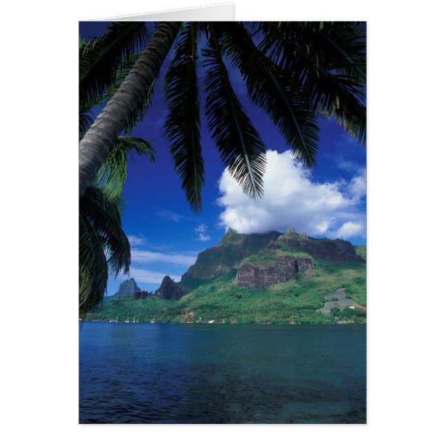 Frans-Polynesië, Moorea. Cooks Bay. Groen (Voorkant)