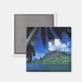 Frans-Polynesië, Moorea. Cooks Bay. Groen Magneet (Voorkant / Achterkant)