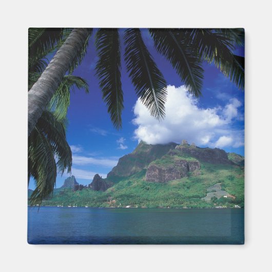 Frans-Polynesië, Moorea. Cooks Bay. Groen Magneet (Voorkant)