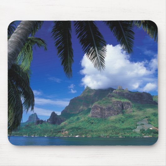 Frans-Polynesië, Moorea. Cooks Bay. Groen Muismat (Voorkant)