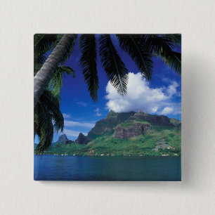 Frans-Polynesië, Moorea. Cooks Bay. Groen Vierkante Button 5,1 Cm