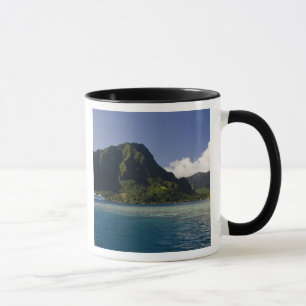 Frans-Polynesië, Moorea. De Paul Gauguin Mok