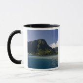 Frans-Polynesië, Moorea. De Paul Gauguin Mok (Links)