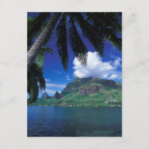 Frans-Polynesië, Moorea. Koekbaai. Green Briefkaart