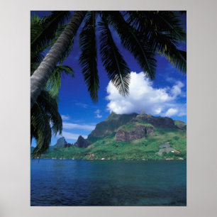 Frans-Polynesië, Moorea. Koekbaai. Green Poster