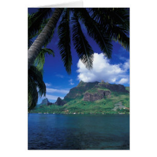 Frans-Polynesië, Moorea. Koekbaai. Groen