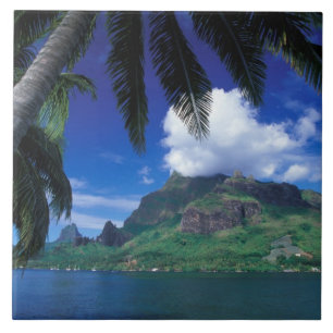 Frans-Polynesië, Moorea. Koekbaai. Groen Tegeltje