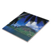 Frans-Polynesië, Moorea. Koekbaai. Groen Tegeltje (Zijkant)