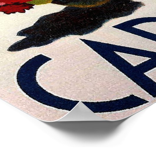 Frans reizen Poster (Hoek)