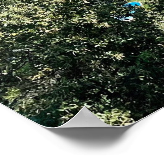 Frans Riviera Poster (Hoek)