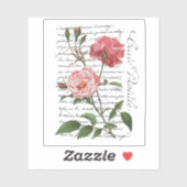 Frans Roos Carte Postale  Script Sticker (Vel)