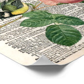  Frans roos en vogelwoordenboek Poster (Hoek)