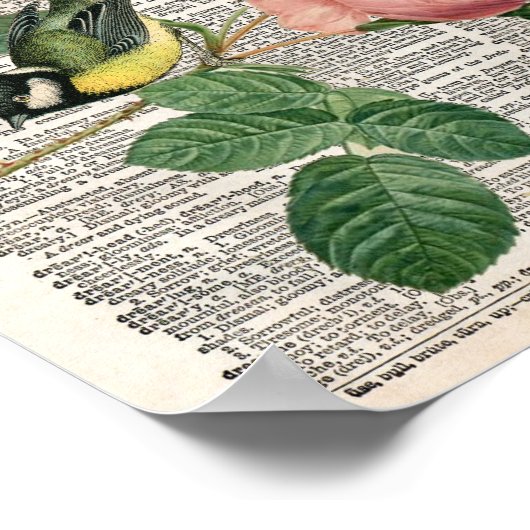  Frans roos en vogelwoordenboek Poster (Hoek)