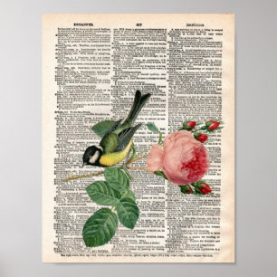 Frans roos en vogelwoordenboek Poster